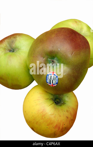 Bramley mele per la cottura con un britannica Union Jack segno del logo Foto Stock