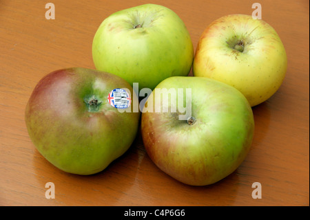 Bramley mele per la cottura con un britannica Union Jack segno del logo Foto Stock