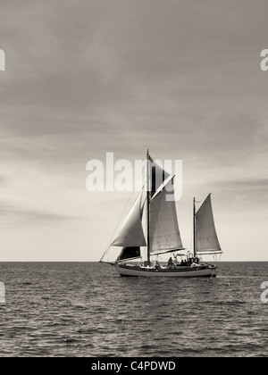 Barca a vela nei pressi di San Giovanni Isole Vergini. Foto Stock