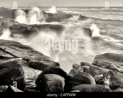 Tempesta onde che si infrangono sulla riva. Puzzava Sands State Park, Oregon Foto Stock