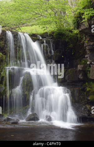 Oriente gill vigore, cascata in prossimità di keld, swaledale, Yorkshire Dales, England, Regno Unito, giugno Foto Stock