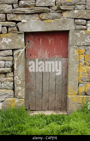 Fienile in pietra con porta rossa, Muker, Swaledale, Yorkshire Dales, England, Regno Unito Foto Stock