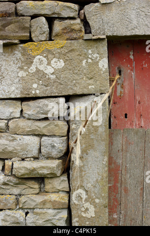 Fienile in pietra con porta rossa, Muker, Swaledale, Yorkshire Dales, England, Regno Unito Foto Stock