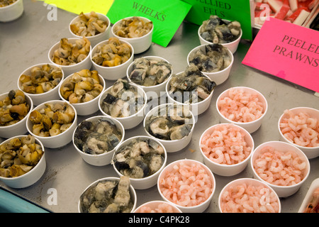 Display pescivendolo di varietà di frutti di mare sulla vendita Foto Stock