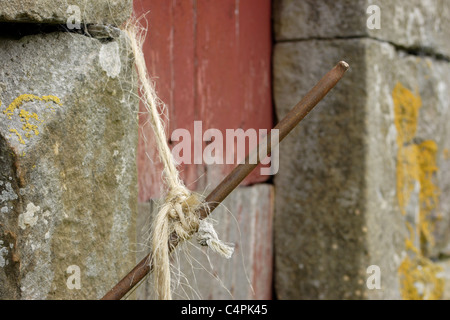 Fienile in pietra con porta rossa, Muker, Swaledale, Yorkshire Dales, England, Regno Unito Foto Stock