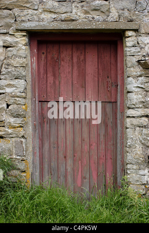 Fienile in pietra con porta rossa, Muker, Swaledale, Yorkshire Dales, England, Regno Unito Foto Stock