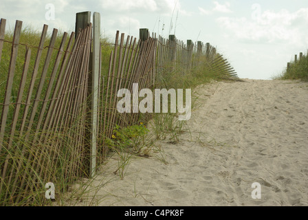 Meteo-battuto recinzione di cedro, South Beach, Miami, Florida, Stati Uniti d'America Foto Stock