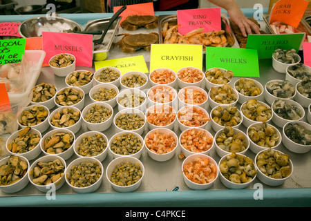 Display pescivendolo di varietà di frutti di mare sulla vendita Foto Stock