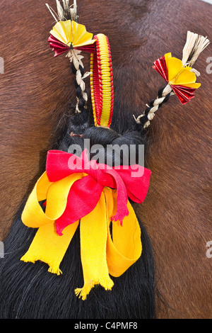 Decorazione finale posteriore, decorazione della coda intrecciata equina; nastri sulla concorrenza fieno della coda di cavallo Clydesdale fiocco alla fiera agricola ECT Scozia UK Foto Stock