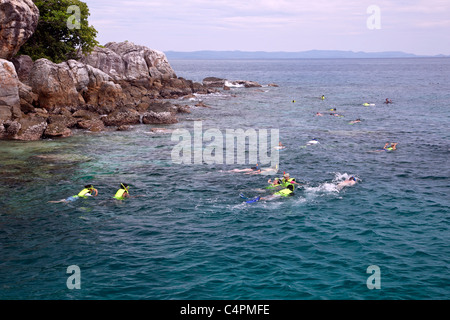 I subacquei esplorare la natura marina su Koh Chang Island, Tailandia,Asia Foto Stock