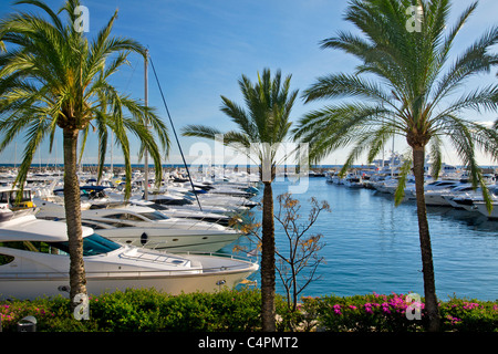 PUERTO PORTALS YACHTS ALBERI DI PALMA MALLORCA luxury motor yacht ormeggiati a Puerto Portals Marina Portals Nous Palma de Maiorca Isole Baleari Spagna Foto Stock