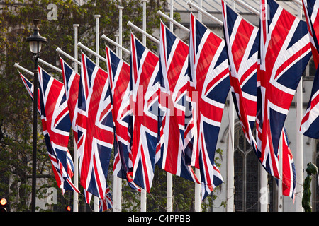 Royal Wedding 2011: Unione bandiere in piazza del Parlamento Foto Stock