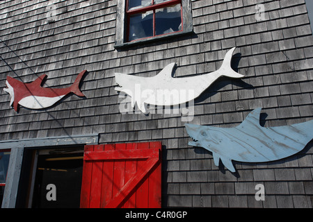 Menemsha Mercato del Pesce Foto Stock