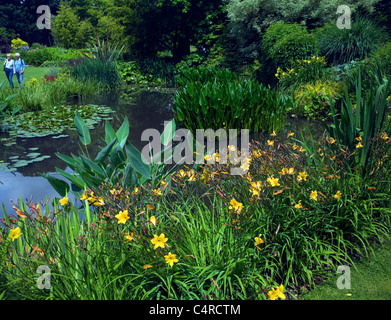 Il Beth Chatto e il giardino vivaio, Elmstead Market, Essex, Inghilterra Foto Stock