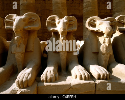 Tempio di Karnak complesso Egitto Avenue di Sphinxes testa di RAM la RAM simboleggiando il Dio egiziano Amun proteggere le Effigies reali di Rameses II nella forma di Osiride Foto Stock