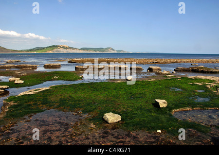 La bassa marea ad ampio risalto, Lyme Regis, Dorset, Regno Unito Maggio 2011 Foto Stock