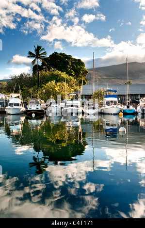 Lahaina Maui riflessioni di nuvole, barche e palme nel porto di Lahaina Hawaii Maui STATI UNITI D'AMERICA. Foto Stock