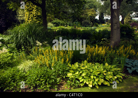 Il Beth Chatto e il giardino vivaio, Elmstead Market, Essex, Inghilterra Foto Stock