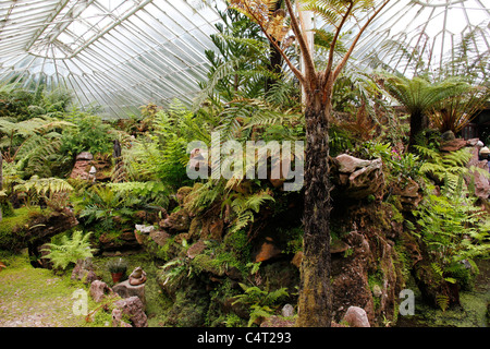 Ascog Hall Gardens & Fernery, Isle of Bute Foto Stock