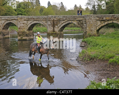 Signora cavallo Cavaliere guadare il fiume Trento con Essex Packhorse Bridge in background nei pressi di grande Haywood Staffordshire Inghilterra Foto Stock