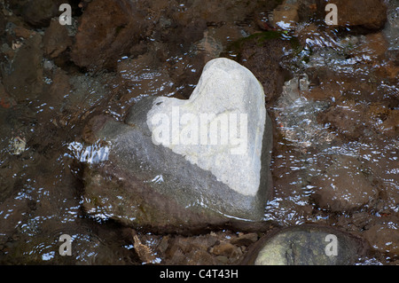 Cuore di pietra di fiume Foto Stock