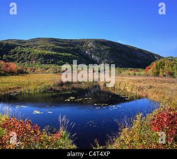 Un laghetto palustre e montagna sotto il cielo azzurro durante l'autunno al Parco Nazionale di Acadia, Maine, Stati Uniti d'America Foto Stock