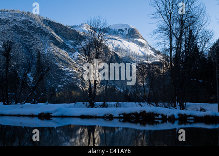 Coperta di neve alberi lungo il fiume Merced con cupola del Nord nel sole al mattino Foto Stock