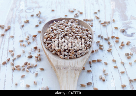 Cucchiaio di cereali Foto Stock