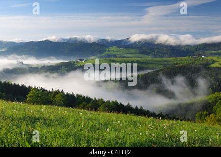 Nebbia di mattina oltre il paesaggio, Voralpenblick, Waidhofen an der Ybbs, Mostviertel, Austria Inferiore, Austria Foto Stock