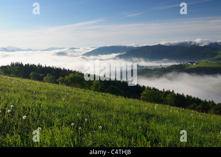 Nebbia di mattina oltre il paesaggio, Voralpenblick, Waidhofen an der Ybbs, Mostviertel, Austria Inferiore, Austria Foto Stock