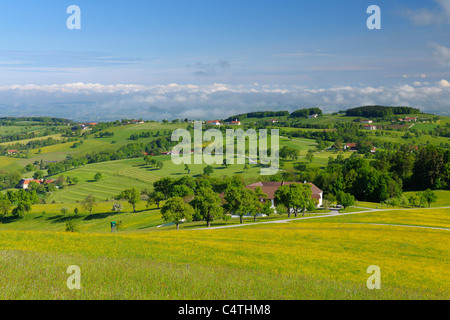 Paesaggio in primavera, Waidhofen an der Ybbs, Mostviertel, Austria Inferiore, Austria Foto Stock