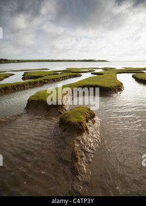 La palude di marea a Skern a marea alta. Northam Burrows Country Park. Devon. In Inghilterra. Regno Unito. Foto Stock