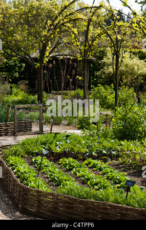 Il Potager giardino in aprile, RHS Rosemoor, Devon, Inghilterra, Regno Unito Foto Stock