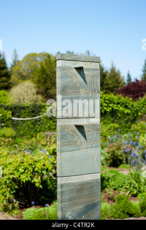 Orologio solare a rosa ad arbusto giardino in aprile, RHS Rosemoor, Devon, Inghilterra, Regno Unito Foto Stock