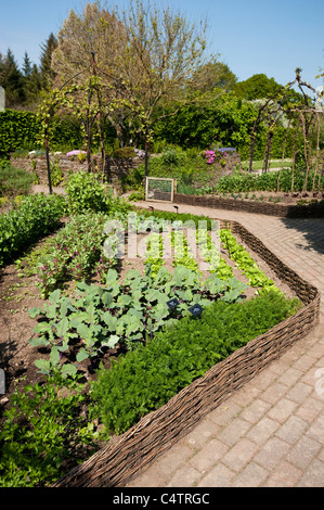 Il Potager giardino in aprile, RHS Rosemoor, Devon, Inghilterra, Regno Unito Foto Stock