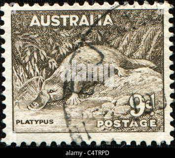 AUSTRALIA - circa 1937: un timbro stampato in Australia mostra platypus - Ornithorhynchus anatinus, circa 1937 Foto Stock