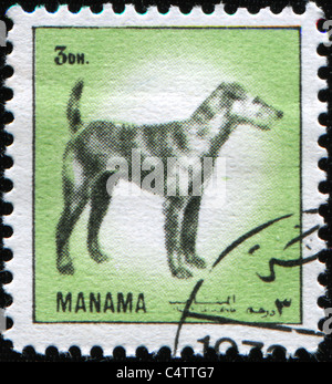 MANAMA - - circa 1972: un timbro stampato in Manama mostra foxterrier, circa 1972 Foto Stock