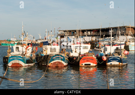 Porto di Bridlington sotto il sole serale (barche da pesca ormeggiate dal molo, corde ormeggiate, banchina di pesce, mare calmo) - panoramica città della costa dello Yorkshire del Nord, Inghilterra, Regno Unito Foto Stock