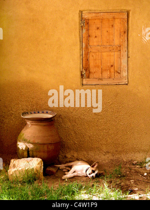 Shot presi in Egitto al Fayoum ovest del Cairo il colpo non è stato pianificato Foto Stock