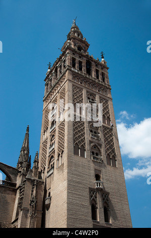 La Giralda Torre Campanaria, Siviglia, Spagna Foto Stock