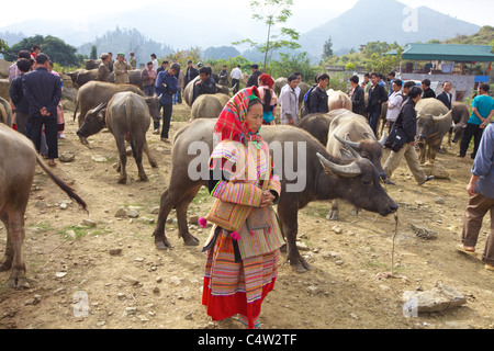 La donna non identificato dal fiore H'mongs minoranza etnica persone al mercato degli agricoltori in Bac Ha, Vietnam Foto Stock