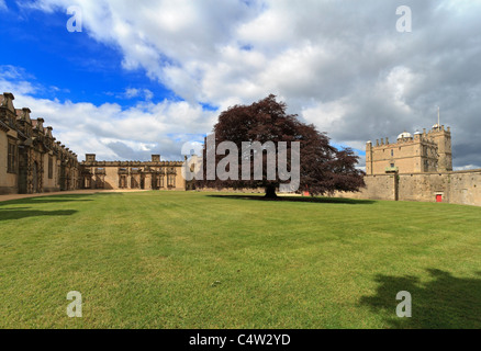 La grande corte, Bolsover Castle, Derbyshire Foto Stock