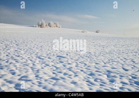 Foresta Nera, Schwarzwald-Baar, Baden-Württemberg, Germania Foto Stock