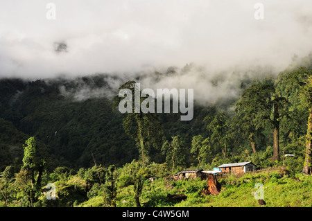 Kechakyu Himal vista dal villaggio Timang, Marsyangdi River Valley, Annapurna Area di Conservazione, Gandaki, Pashchimanchal, Nepal Foto Stock