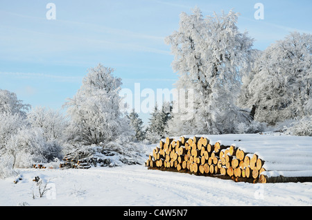 Paesaggio invernale, vicino Albstadt, Svevo, Baden-Wuerttemberg, Germania Foto Stock