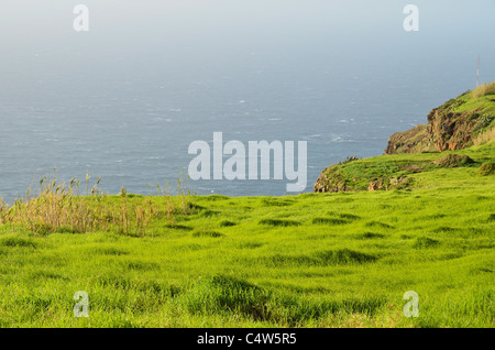 Costa vicino a Ponta do Pargo, Madeira, Portogallo Foto Stock