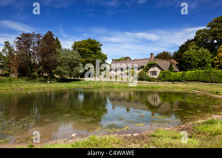 Ashmore Duck Pond e cottage con il tetto di paglia, Ashmore, Dorset, England, Regno Unito Foto Stock