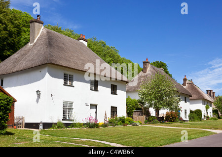 Fila di staccato cottage con il tetto di paglia, Milton Abbas, Dorset, England, Regno Unito Foto Stock