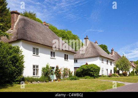 Fila di tradizionali staccato cottage con il tetto di paglia, Milton Abbas, Dorset, England, Regno Unito Foto Stock