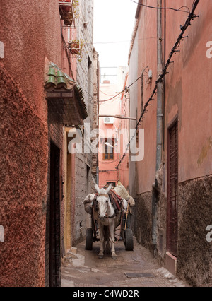 Un asino con carrello nella città vecchia Medina. Marrakech, Marocco. Foto Stock